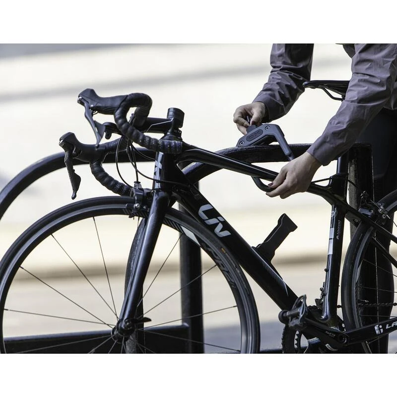 Hiplok Cadenas En U Avec Clip De Cadre Cadenas En U - DX 6 Hiplok Cadenas En U Avec Clip De Cadre Cadenas En U - DX – Image 4