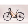 Le Vélo électrique Végétal Et éco-responsable -Vélo Équipement Magasin le velo electrique vegetal et eco responsable