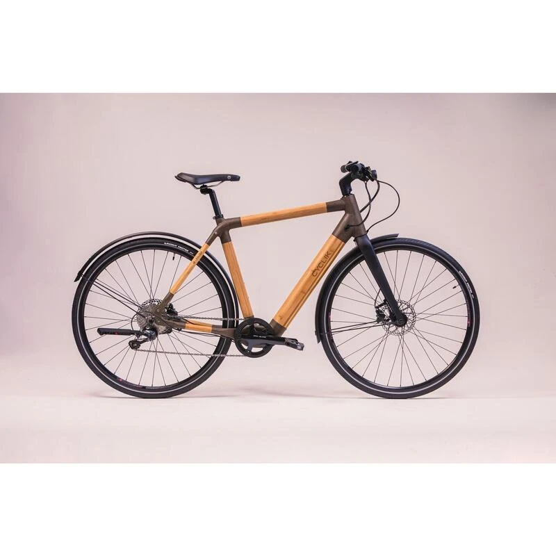 Le Vélo électrique Végétal Et éco-responsable à Cadre Haut 3 Le Vélo électrique Végétal Et éco-responsable à Cadre Haut