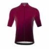 Bioracer Maillot Cycliste - Rouge - Hommes - Icon Classic Smooth -Vélo Équipement Magasin maillot cycliste rouge hommes icon classic smooth