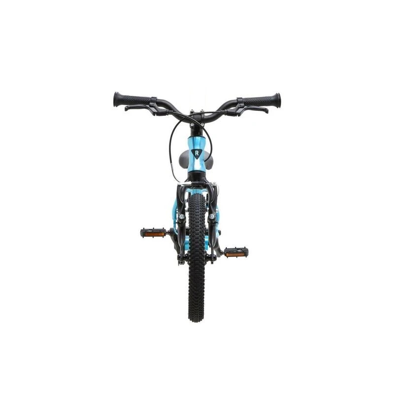 RASCAL 14 Raspberry 4 RASCAL 14 Raspberry – Image 2